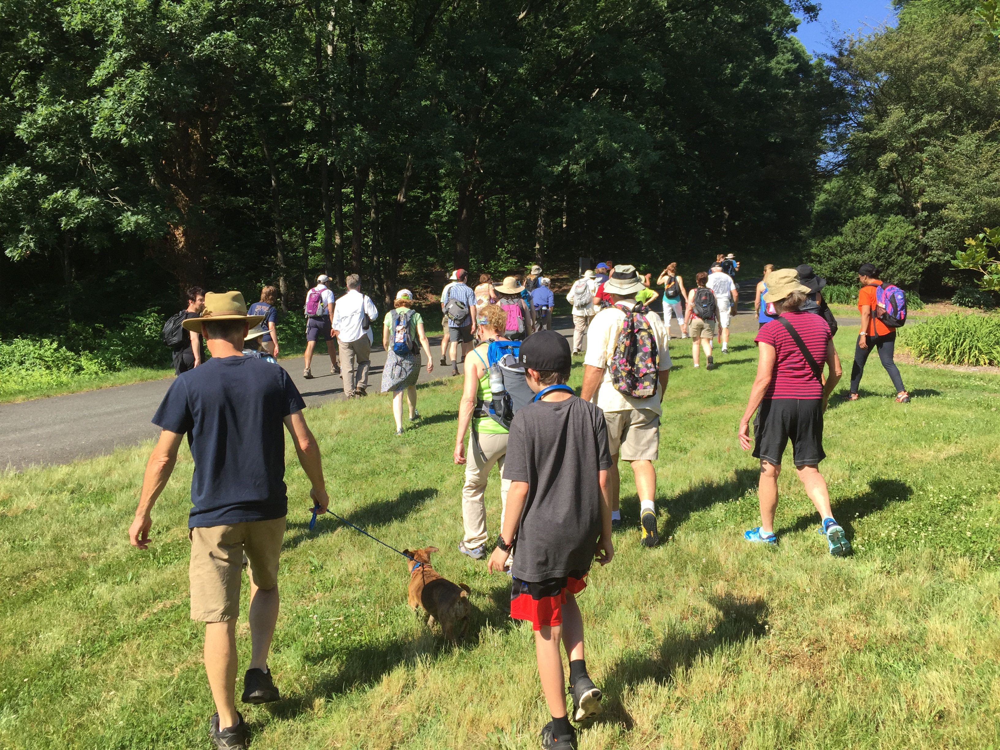 The hiking group starts out across the grass, heading for the tree
