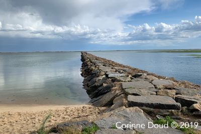 Corrine Doud, Provincetown Breakwater