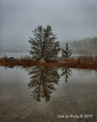 Tidal Marsh, Lisa Jo Rudy