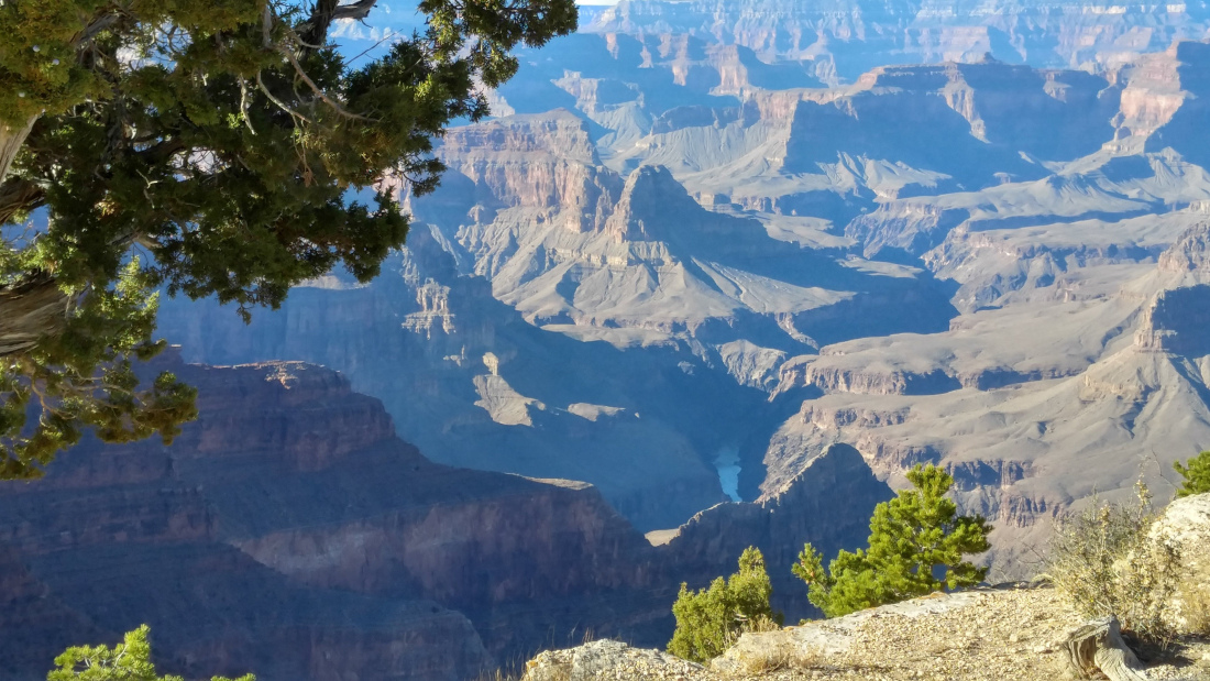 Grand Canyon Daytime - Gary Bowers