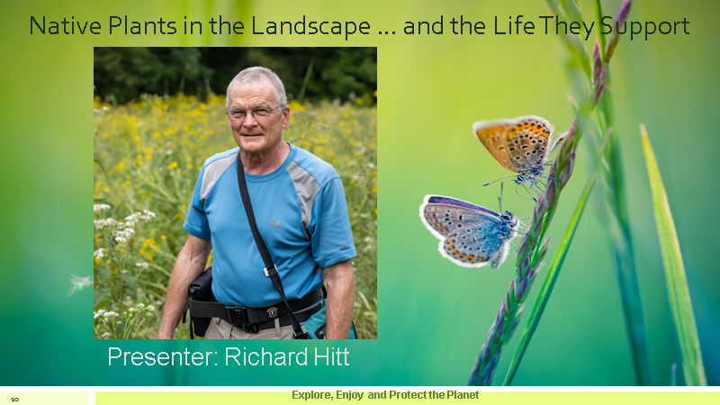 Richard Hitt Talks about Native Plants in the Landscape