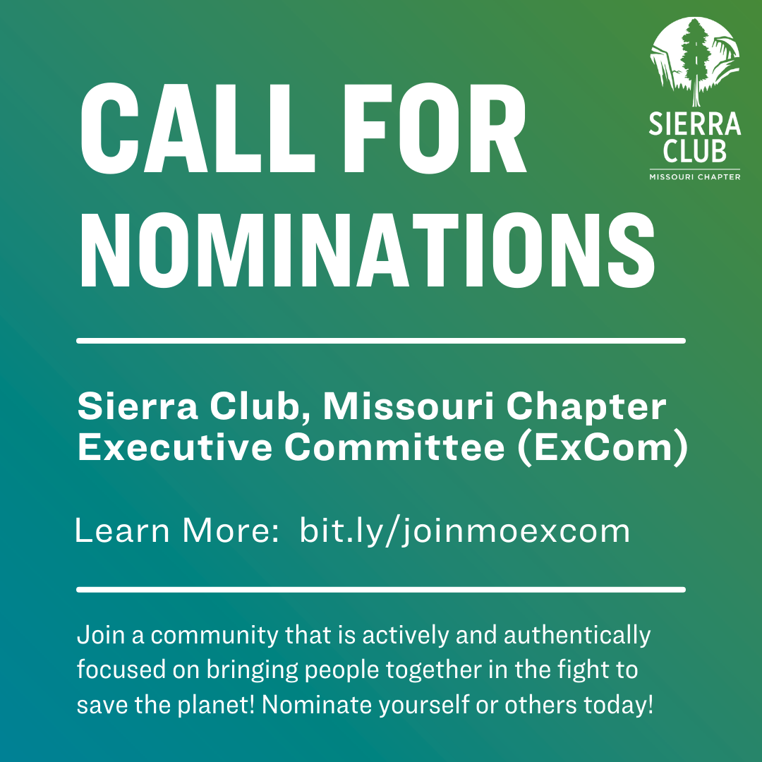 Nominations Call