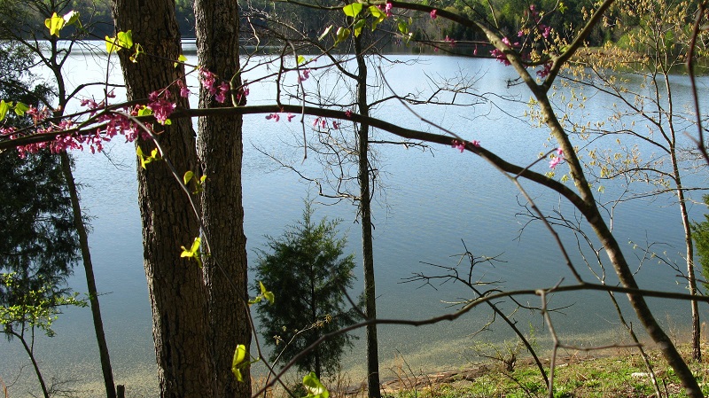 Falls Lake, N.C., in the spring
