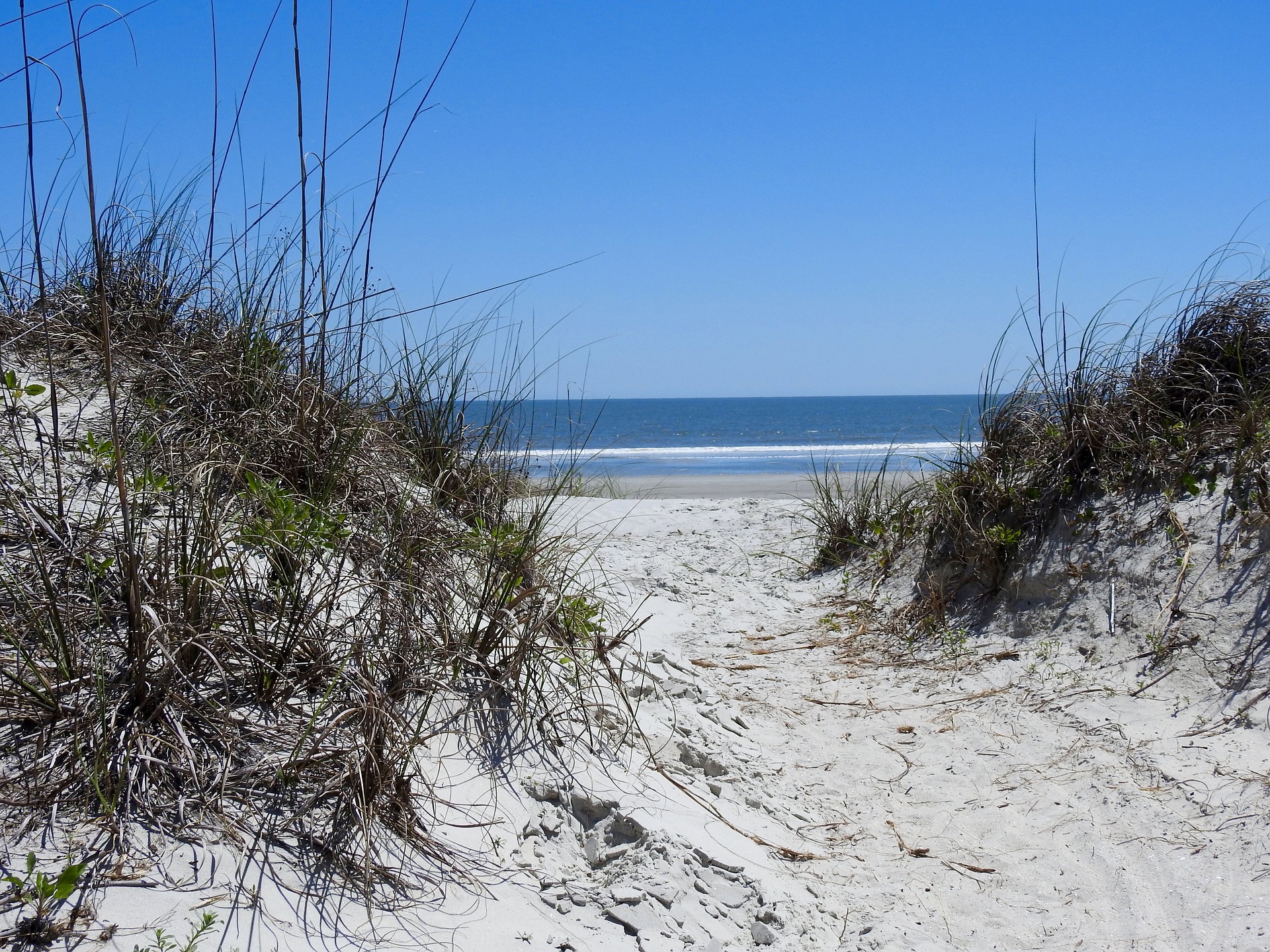 A North Carolina beach scene