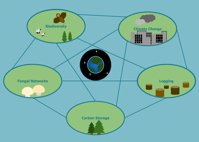 Web diagram depicting the relationships between Forest Team topics