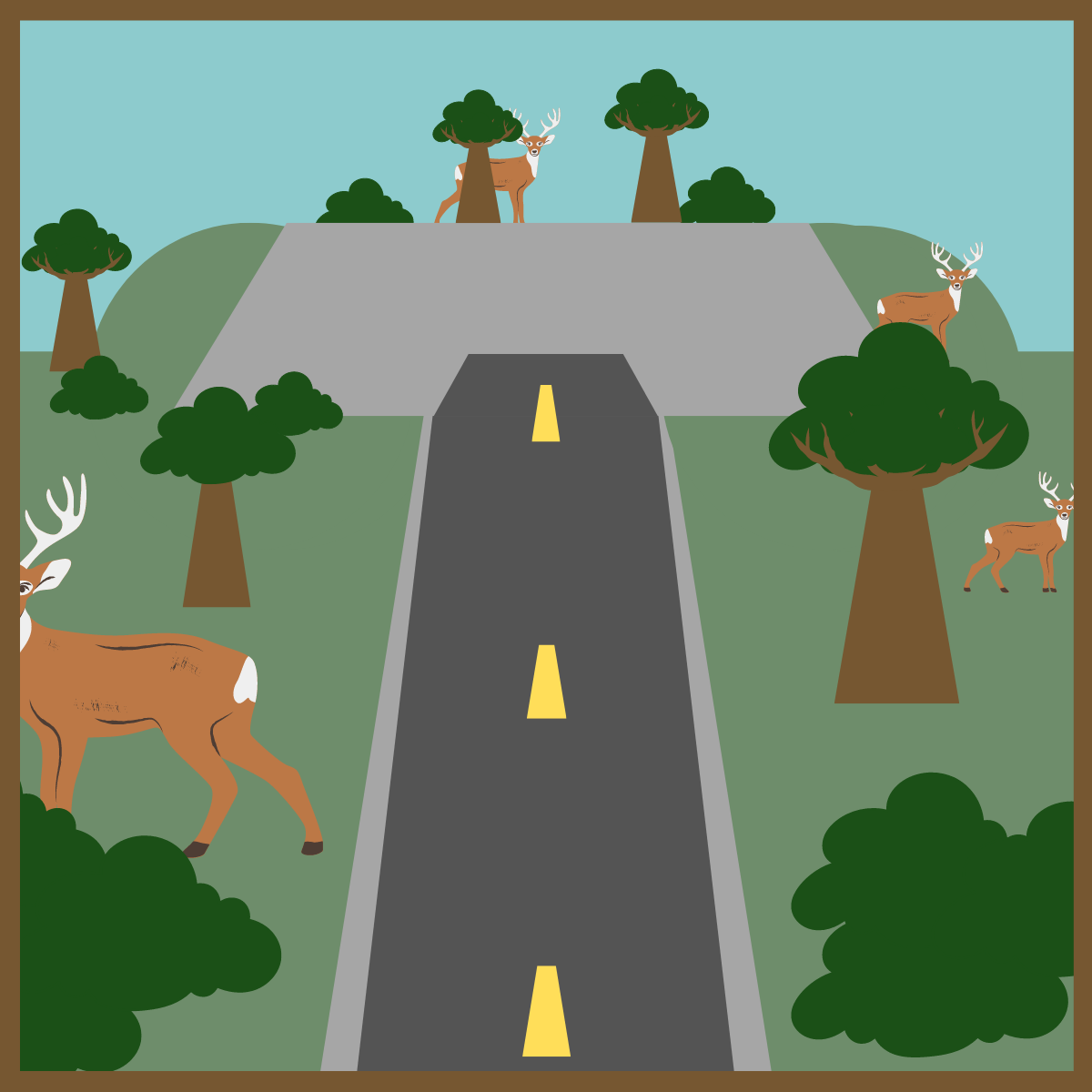 Graphic Depicting a Habitat Corridor Crossing a Highway