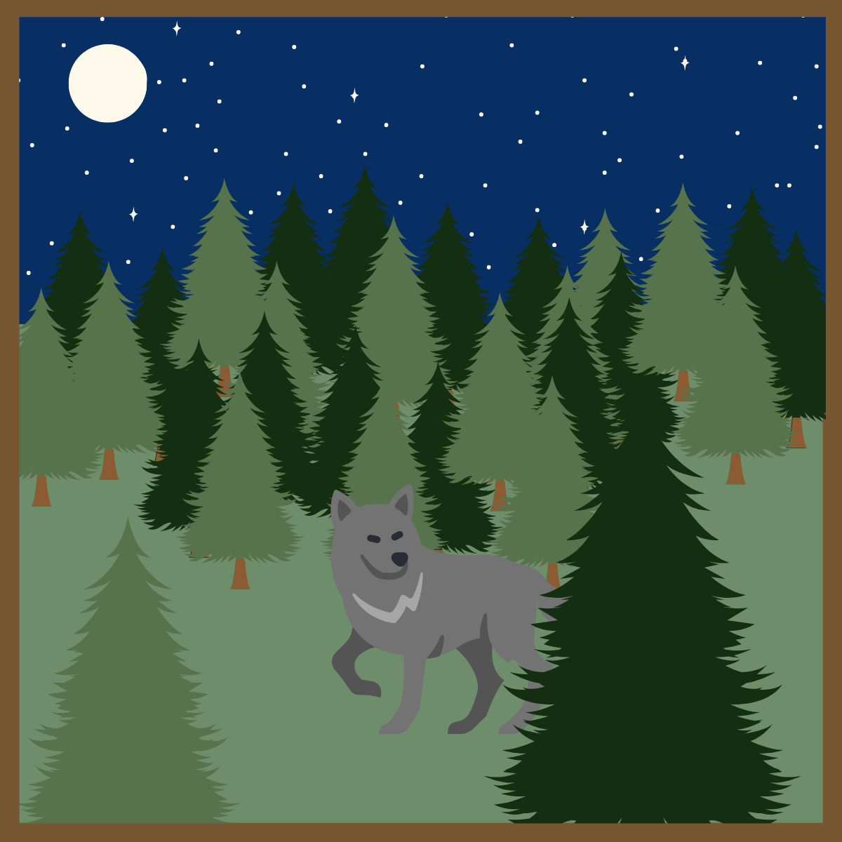 Wolf in the Forest at Night