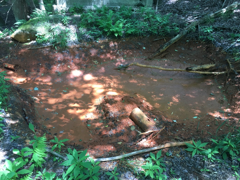 A rusted casing from an orphan well lies in a red mudhole in a forest.