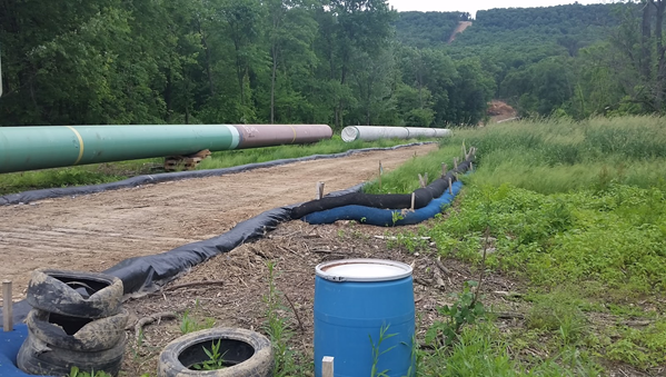 Pipeline clears forested habitat