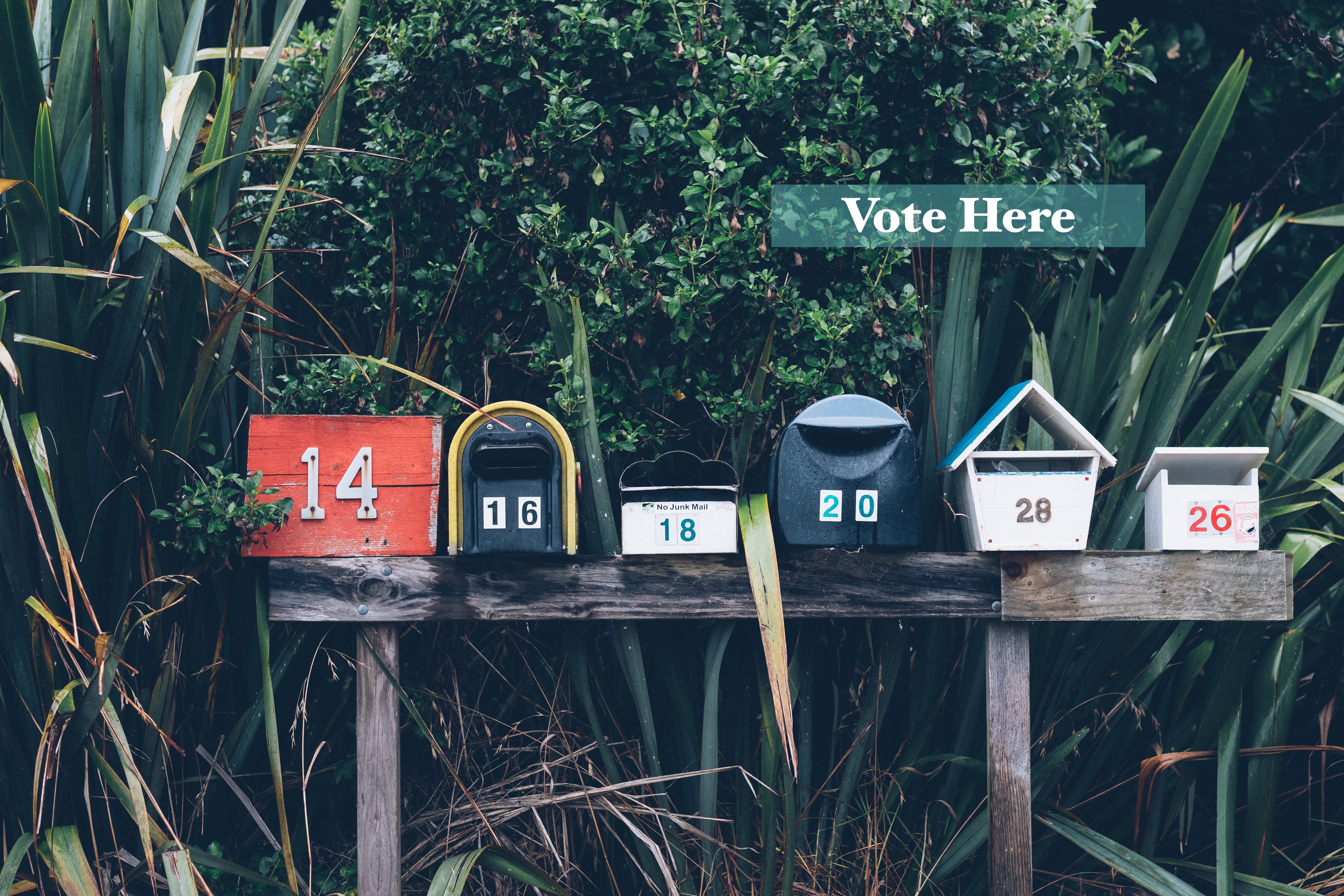 Multiple mailboxes in front of a mix of green plants with a sign that says vote here