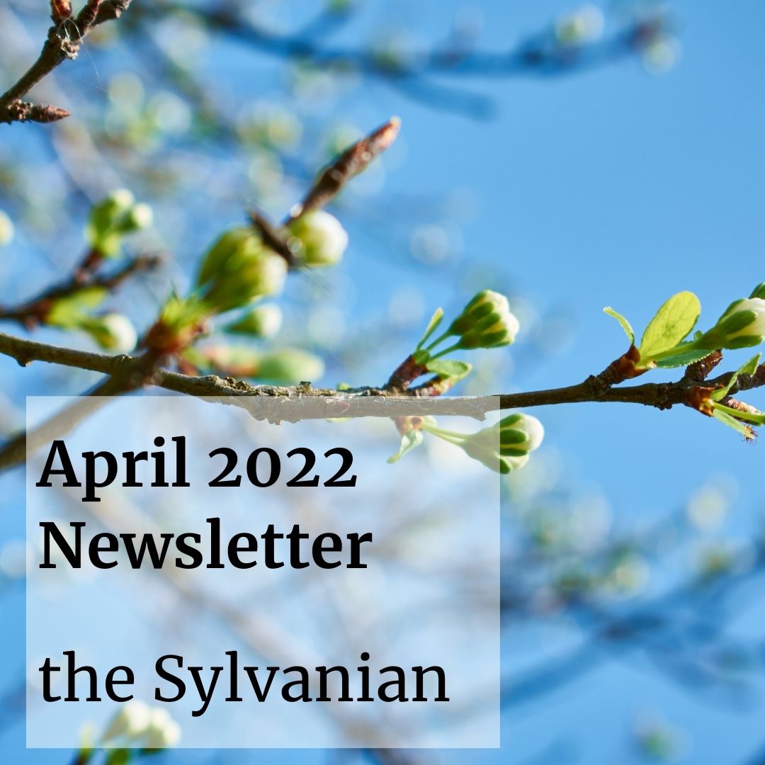 New buds on a branch begin to open with the text "April 2022 Newsletter, the Sylvanian" in black letters