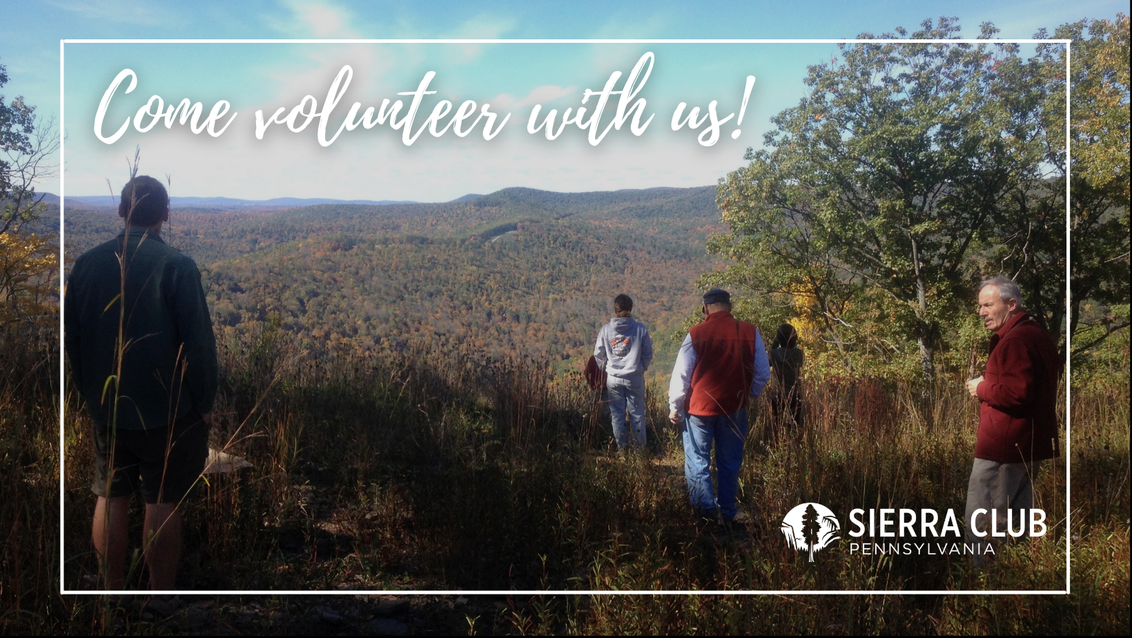 Sierra Club PA outing participants in front of a forested landscape with the text: Come volunteer with us!