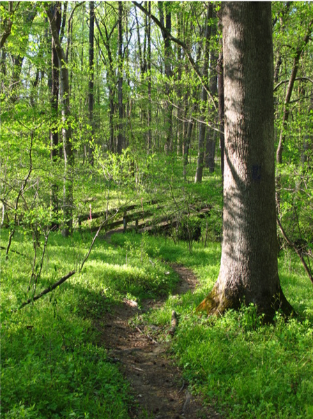 Earth Day 2020 at Watkins Regional Park | Sierra Club