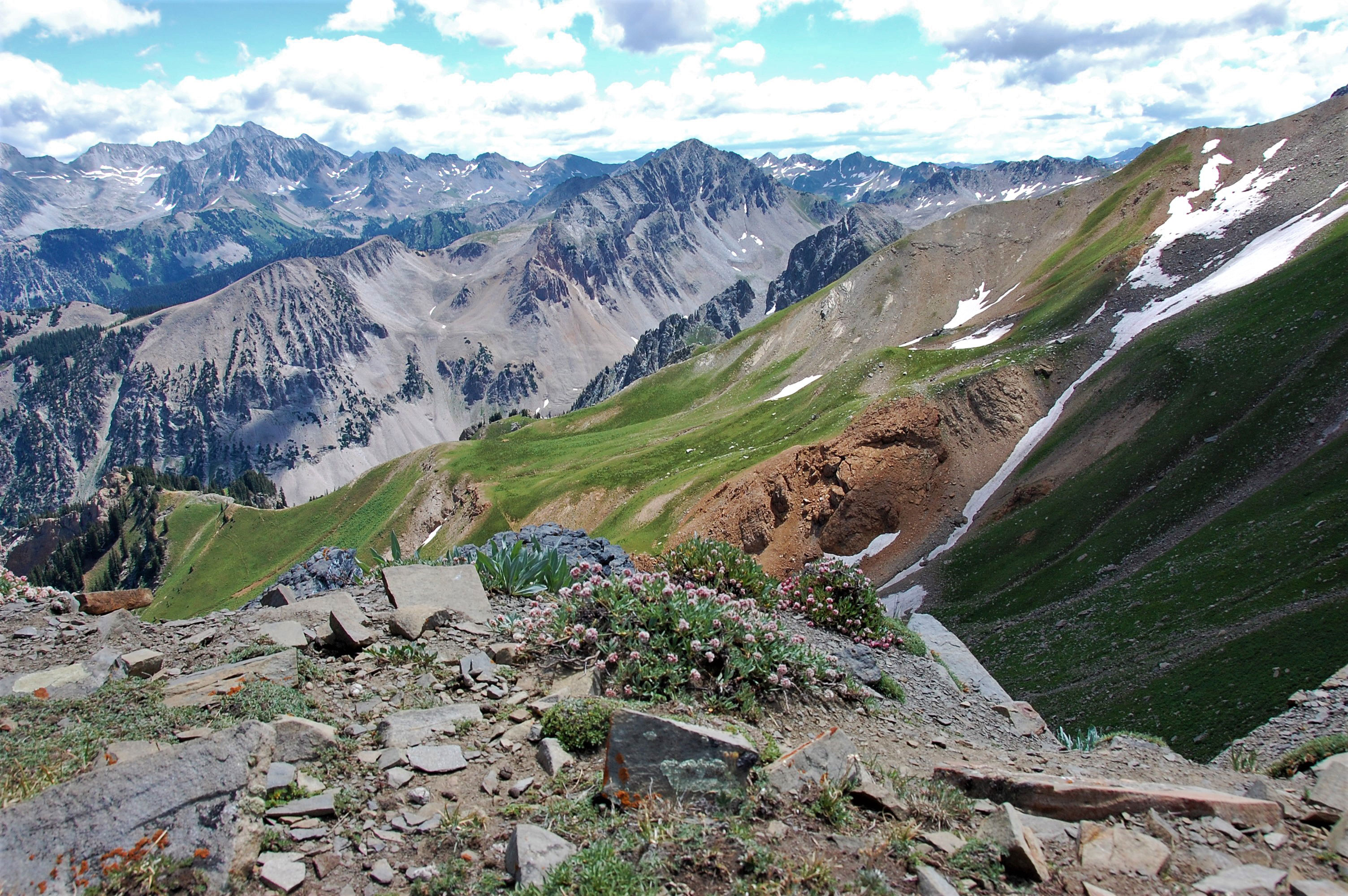 A blue ski with some clouds in the background, with steep mountains and wildflowers in the foreground.