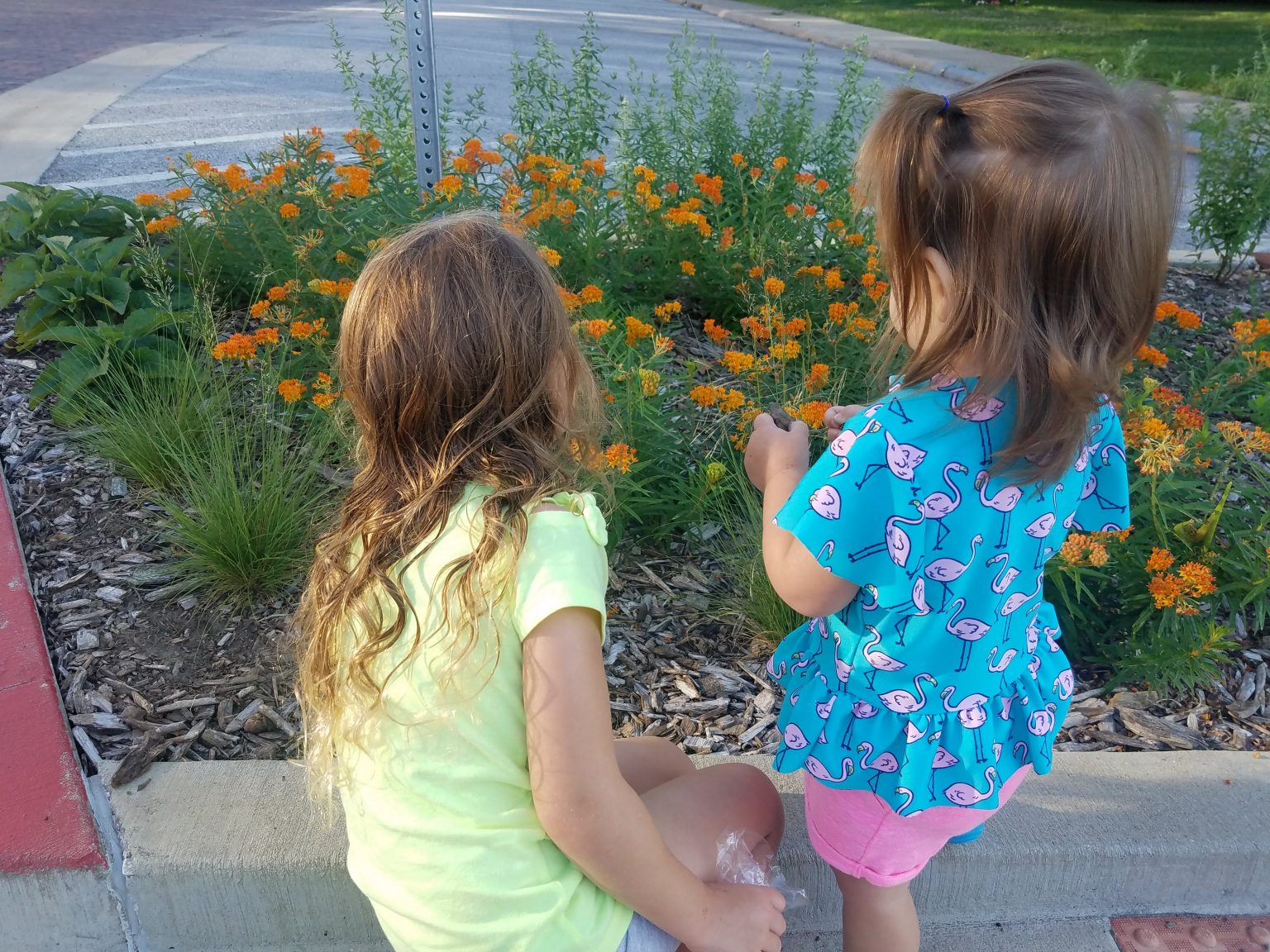 children enjoying pollinator garden