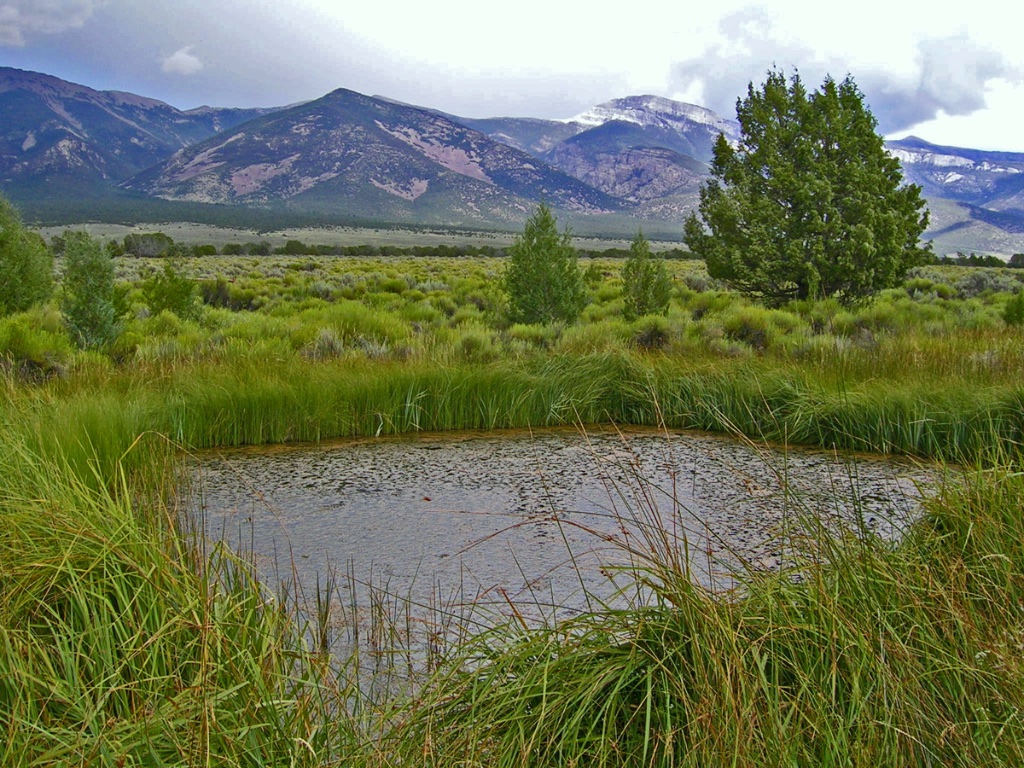 Shoshone Pond in Spring Valley with Great Basin National Park in the background.