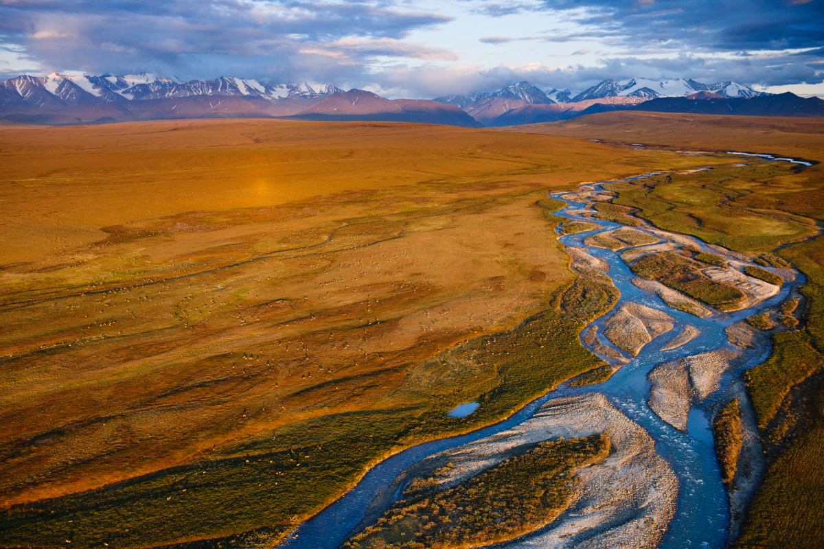 A view of the Arctic Refuge with a braided river. Copyright Florian Shultz