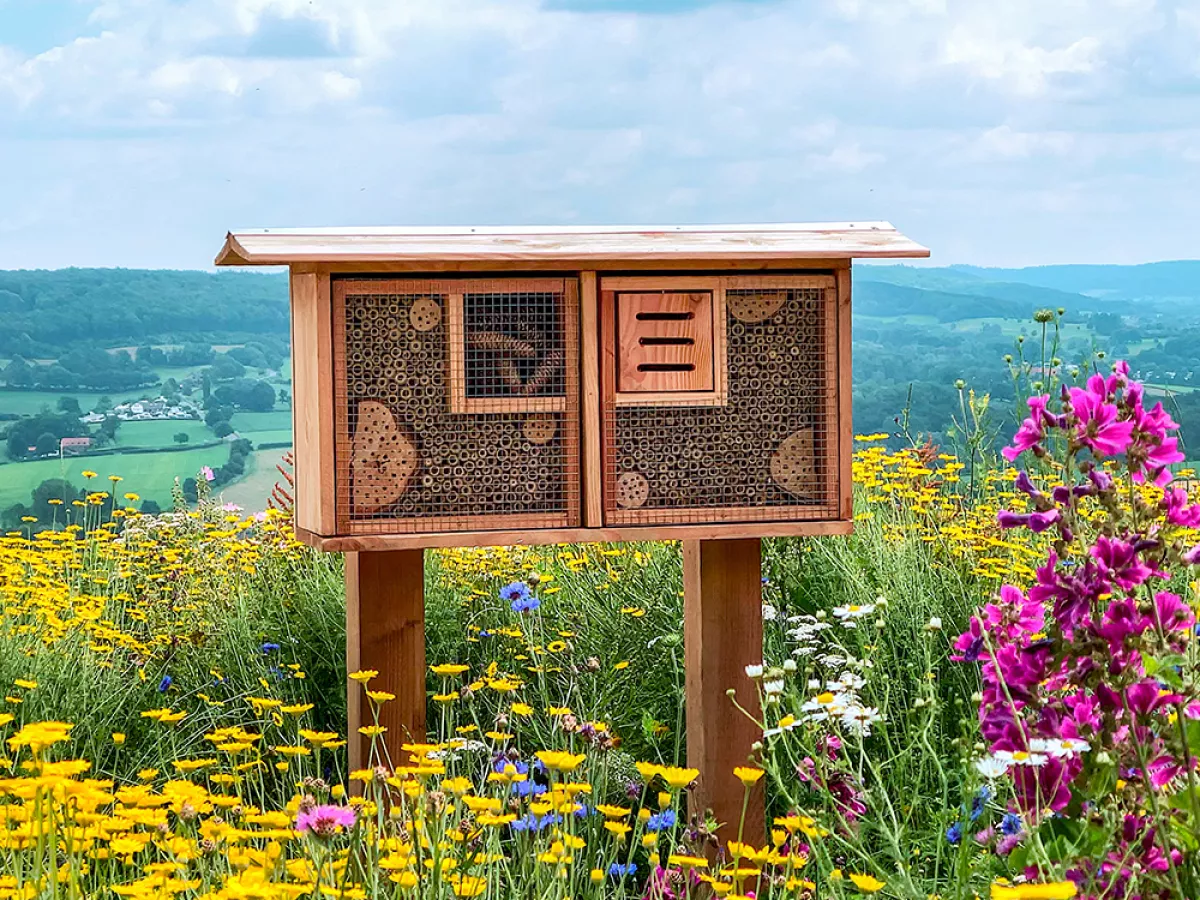 Pests, wind gusts can cloud picture-perfect settings