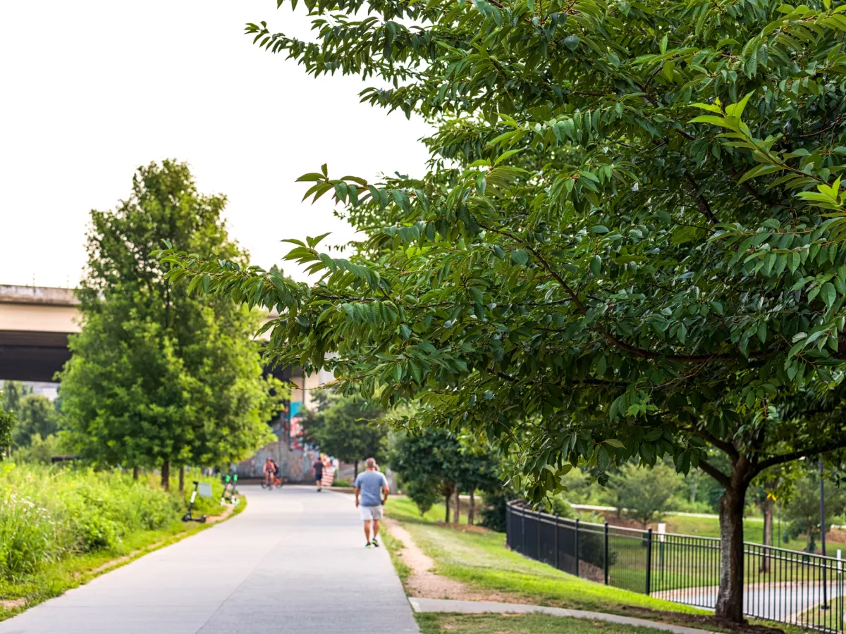 Sandhill Cranes Are Moving to Cities and Adopting Urban Lifestyles