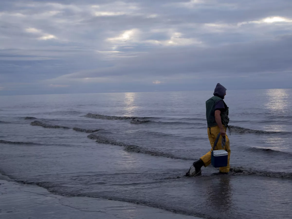 Salmon and Coal Face Off in Alaska | Sierra Club