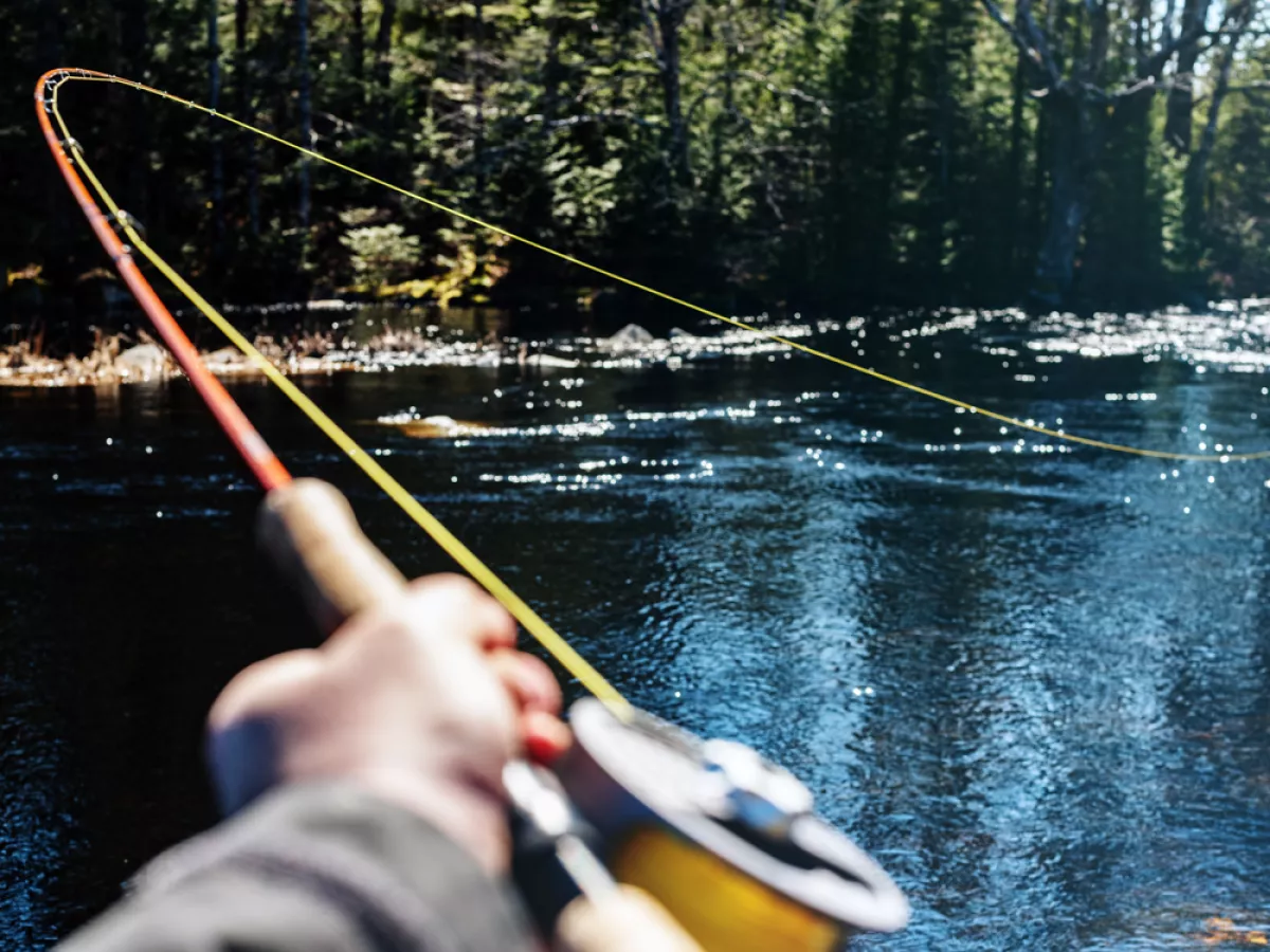 Fly Fishing Rods - Which Weight is Right for You? – Montana Casting Co.