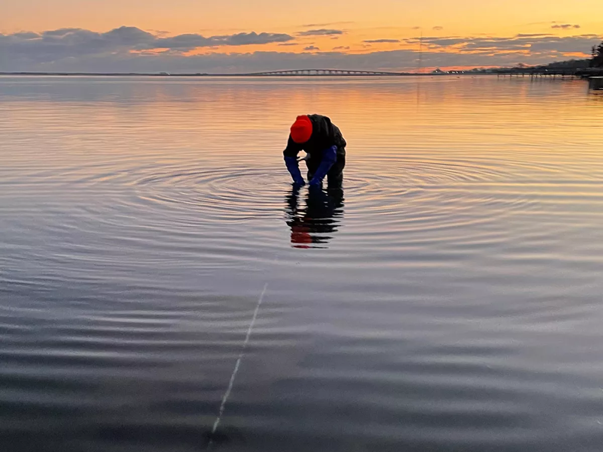 The East Coast's First Indigenous Kelp Farm Readies for Harvest