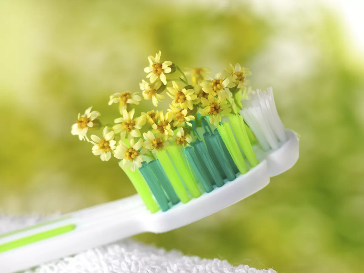 Eco-Friendly Palm Scrub Brush - Natural, Plastic-Free, Sustainable