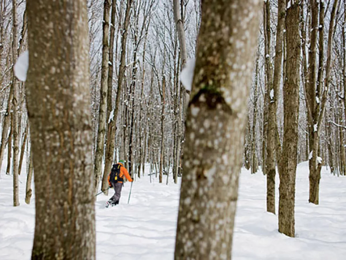 My Big Backyard | Sierra Club