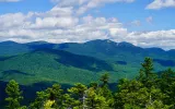 A view of the Sandwich Range Vegetation Management Project area in New Hampshire's White Mountains National Forest. 