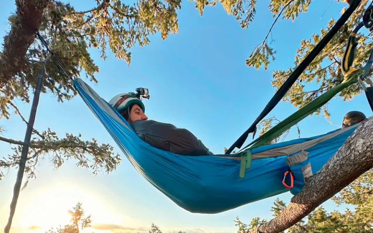 Two people lie in hammocks tied to tree limbs in the canopy.