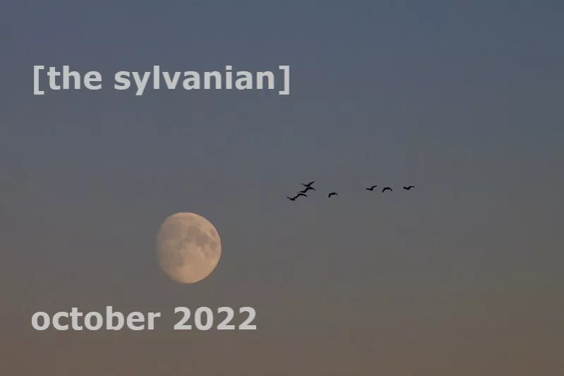 [the sylvanian] October 2022