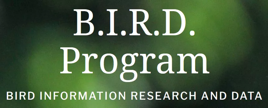 BIRD Program logo