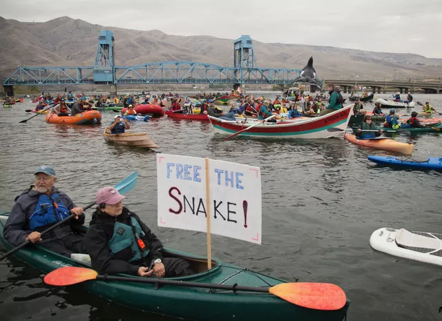 Kayakers engage in kayaktism on the Columbia, holding up signs and clustered tightly together
