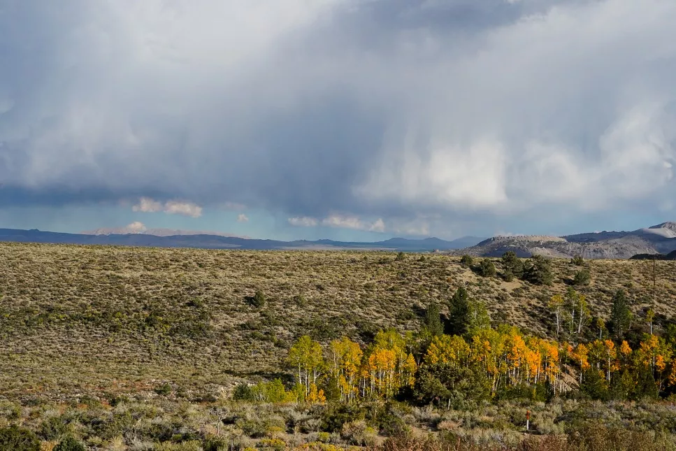 Landscape with rain clouds