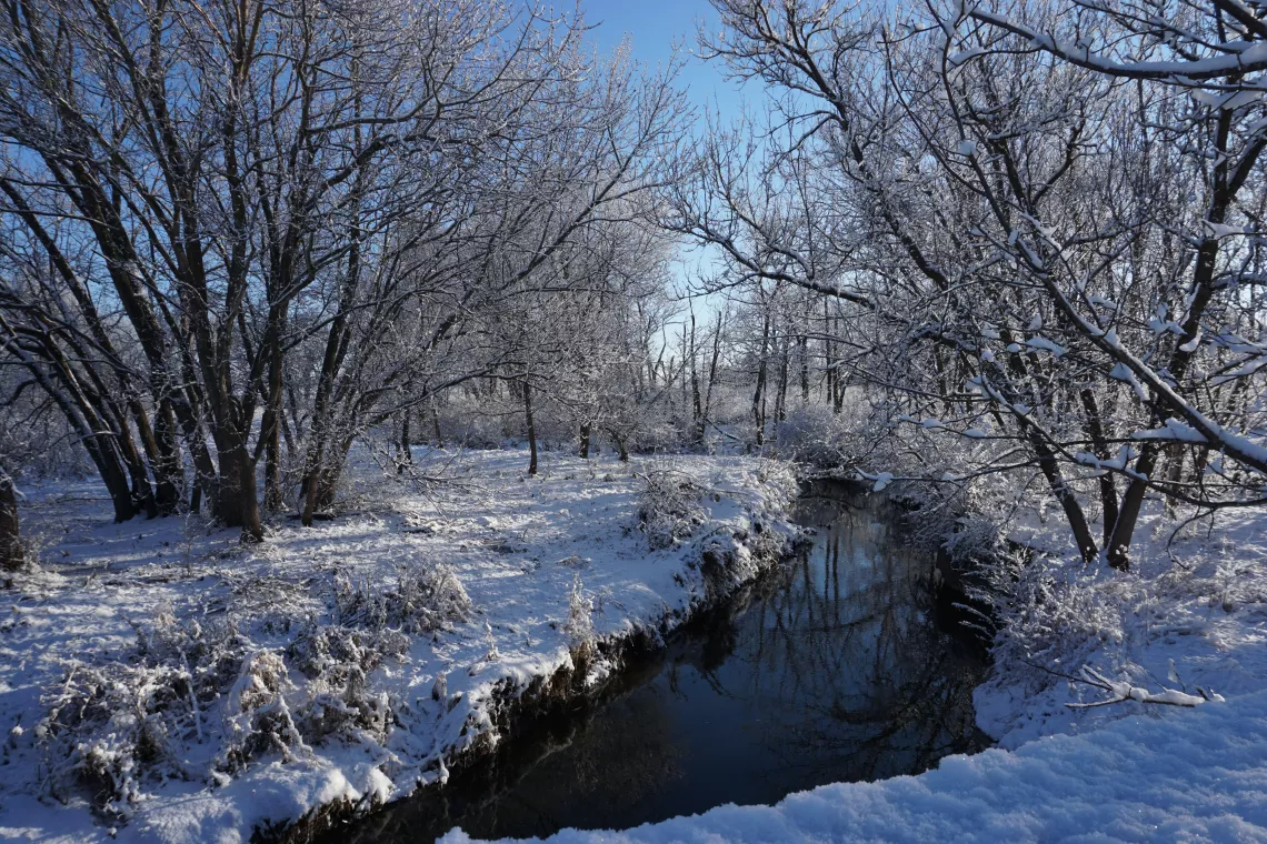 Winter in Wanatee Park, Linn County, Iowa