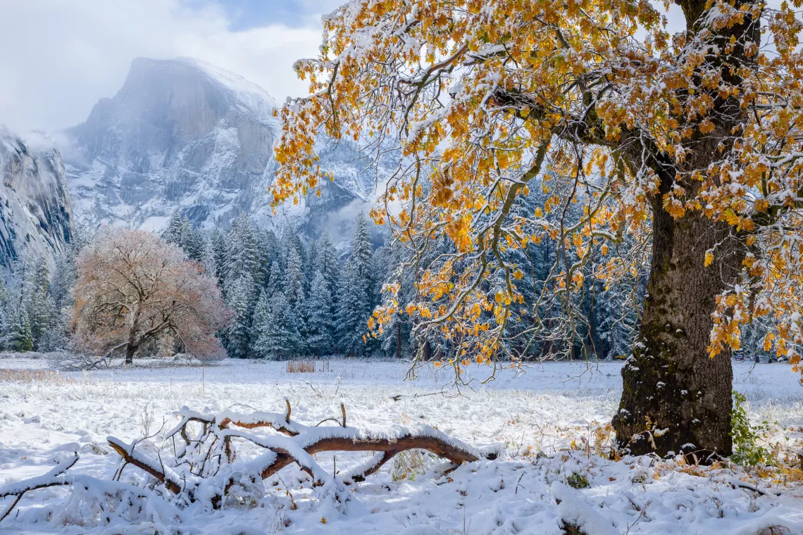 Fall and Winter Meet in Cooks Meadow, Yosemite Valley © Joe Doherty 2020