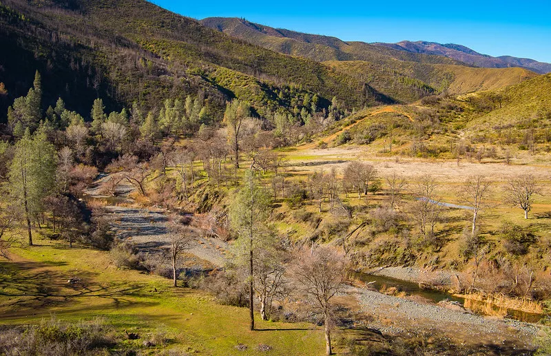 Image of golden yellows and yellow-green grass shrubby and leaves on smaller trees, a stream among the rocky walking path and rolling hills in the backdrop