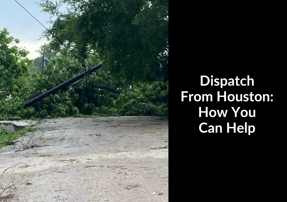 Photo of a tree downed on a power line. Text: Dispatch from Houston: How You Can Help