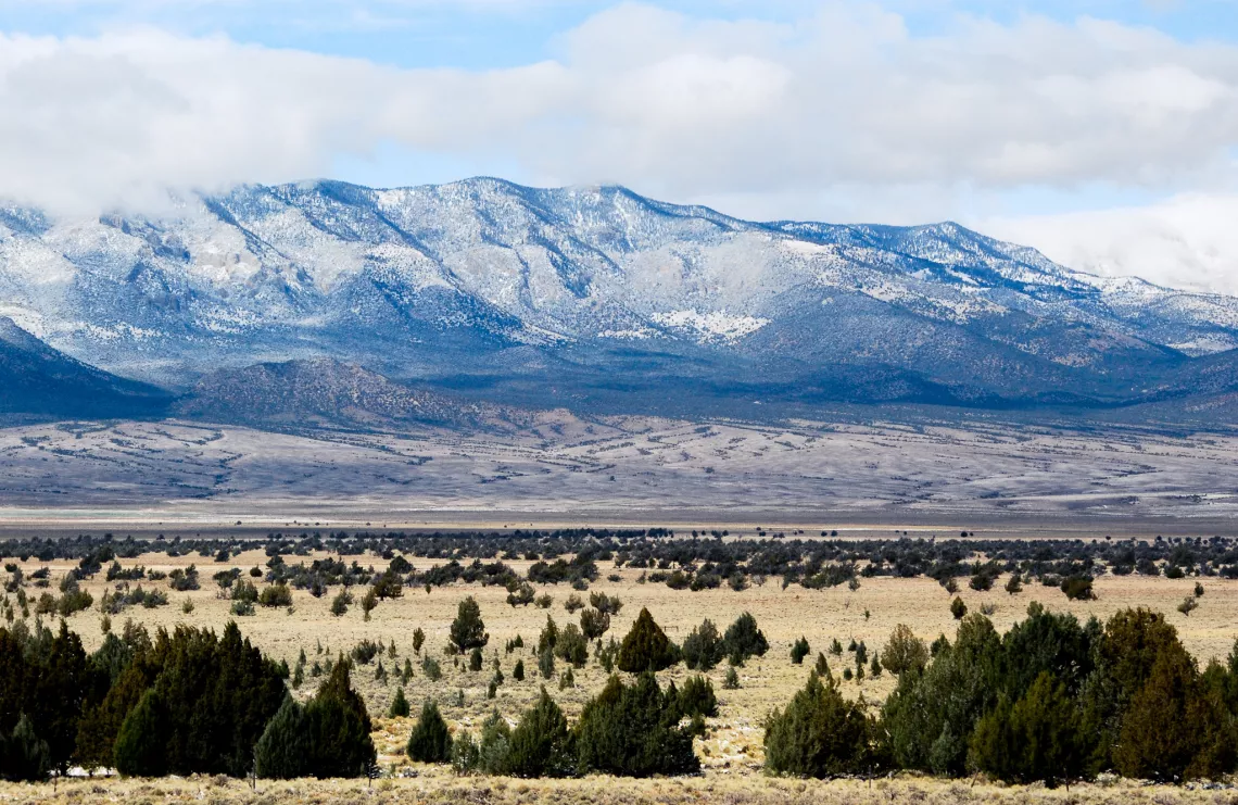 Mountains and swamp cedars at Bahsahwahbee in Eastern Nevada 