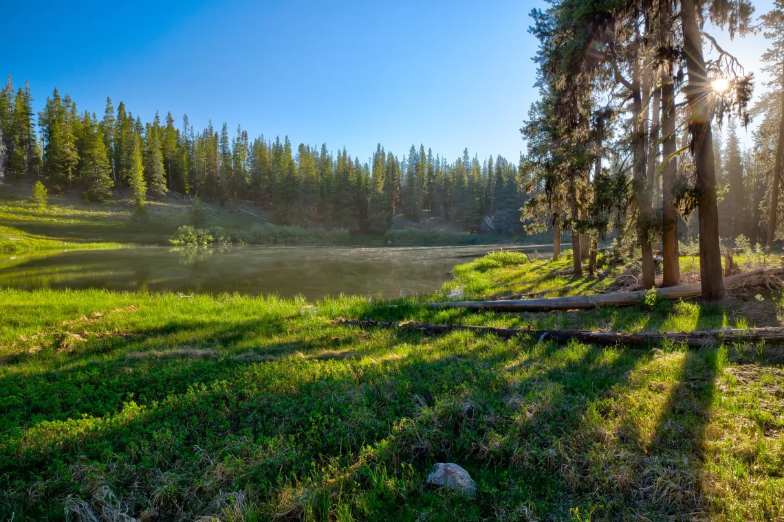 Medicine Lake Highlands, California, USA