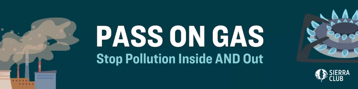 Pass on Gas: Stop Pollution Inside AND Out