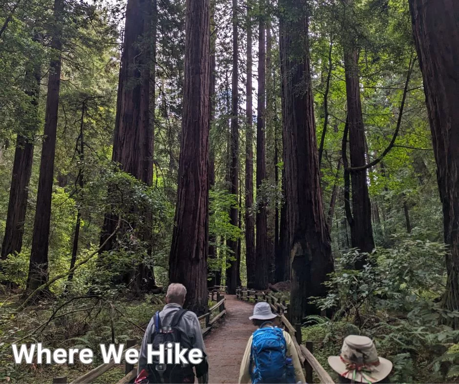 Where We Hike. Text on top of image of hikers in redwood forest