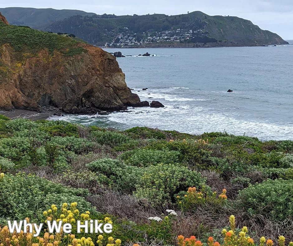Why we hike. Image shows beautiful scene on the coast, native plants in the front. 
