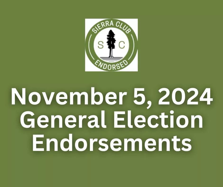 November 2024 general election endorsements