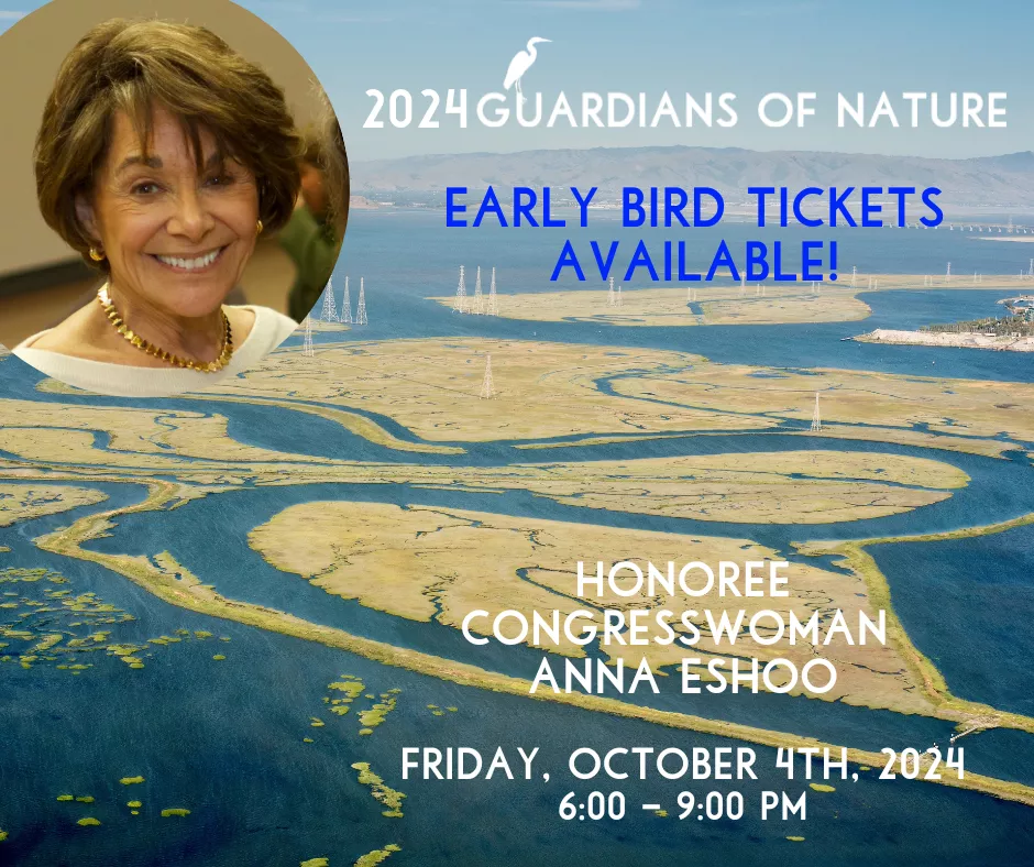 Guardians of Nature Early Bird Tickets
