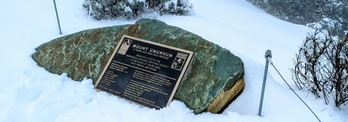 Sign about dedication in 2017, in snow