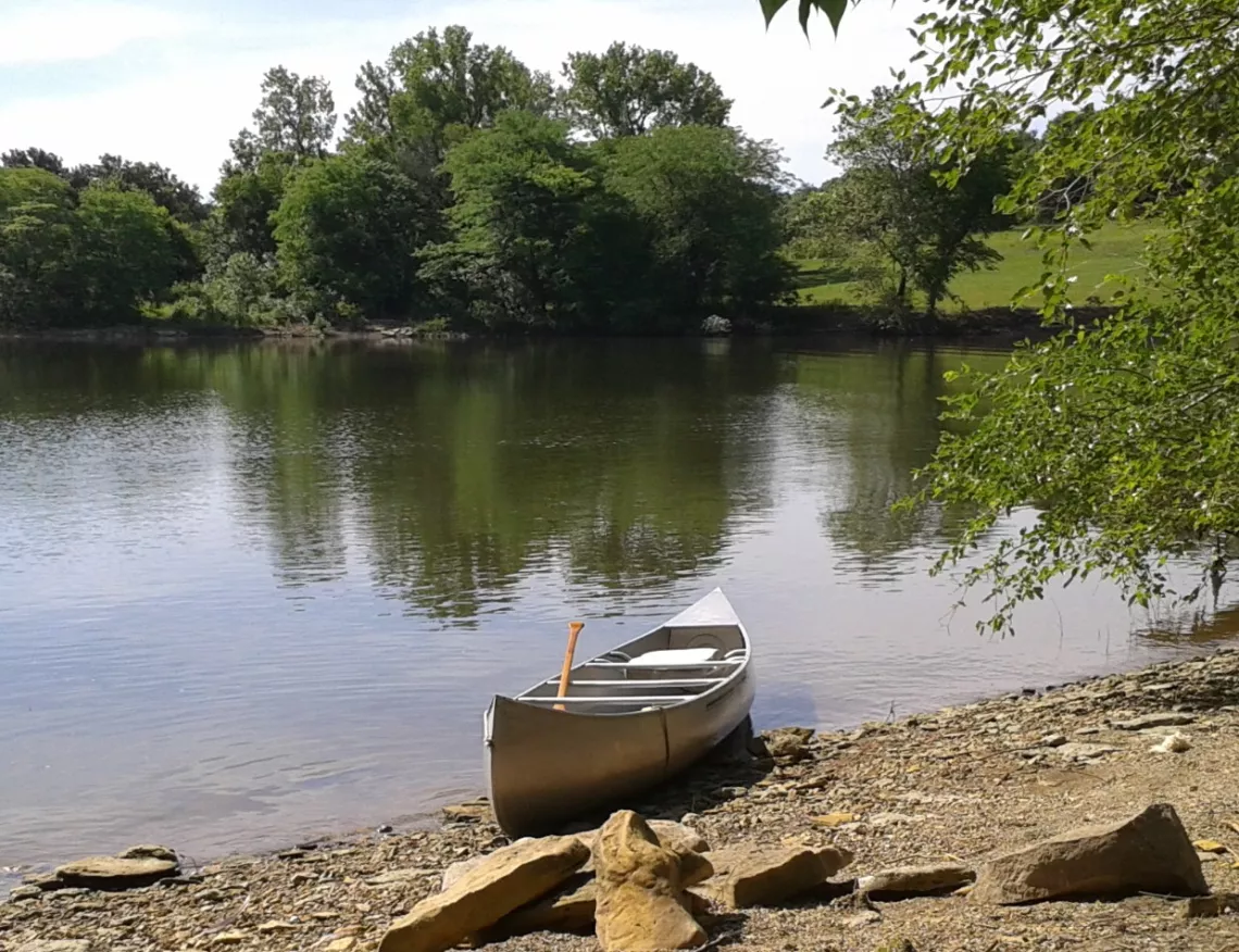 trees on edge of lake with rowboat on shore