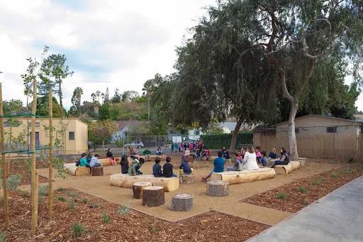 A group of children in a schoolyard sit on logs arranged into a circle. A large tree provides shade.