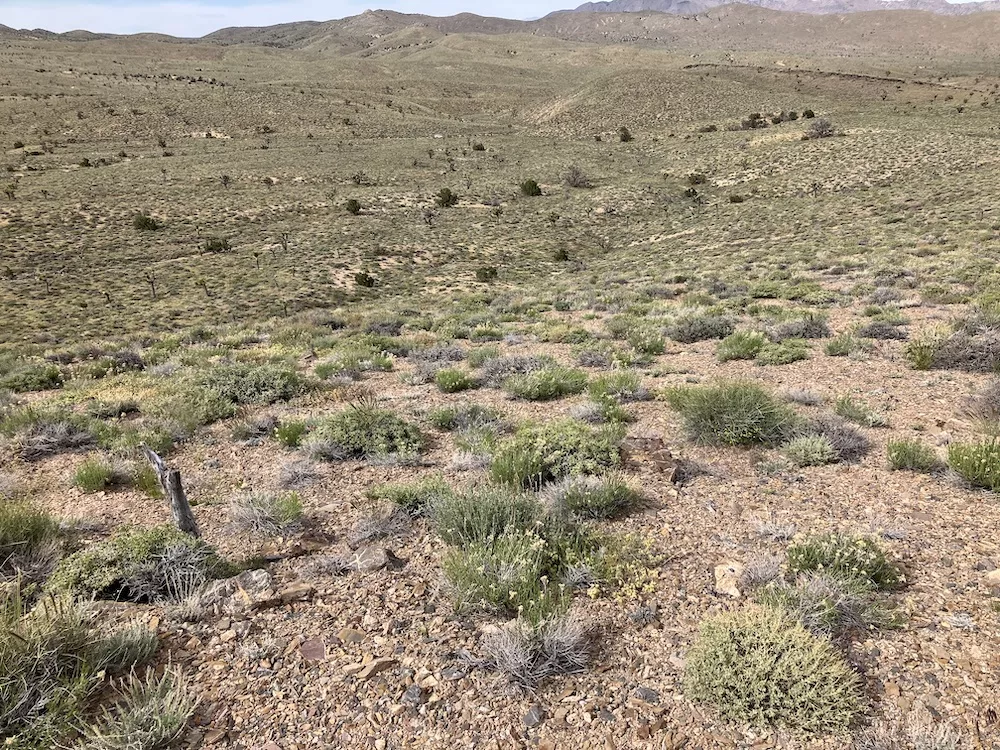 photo of proposed access route at Conglmerate Mesa