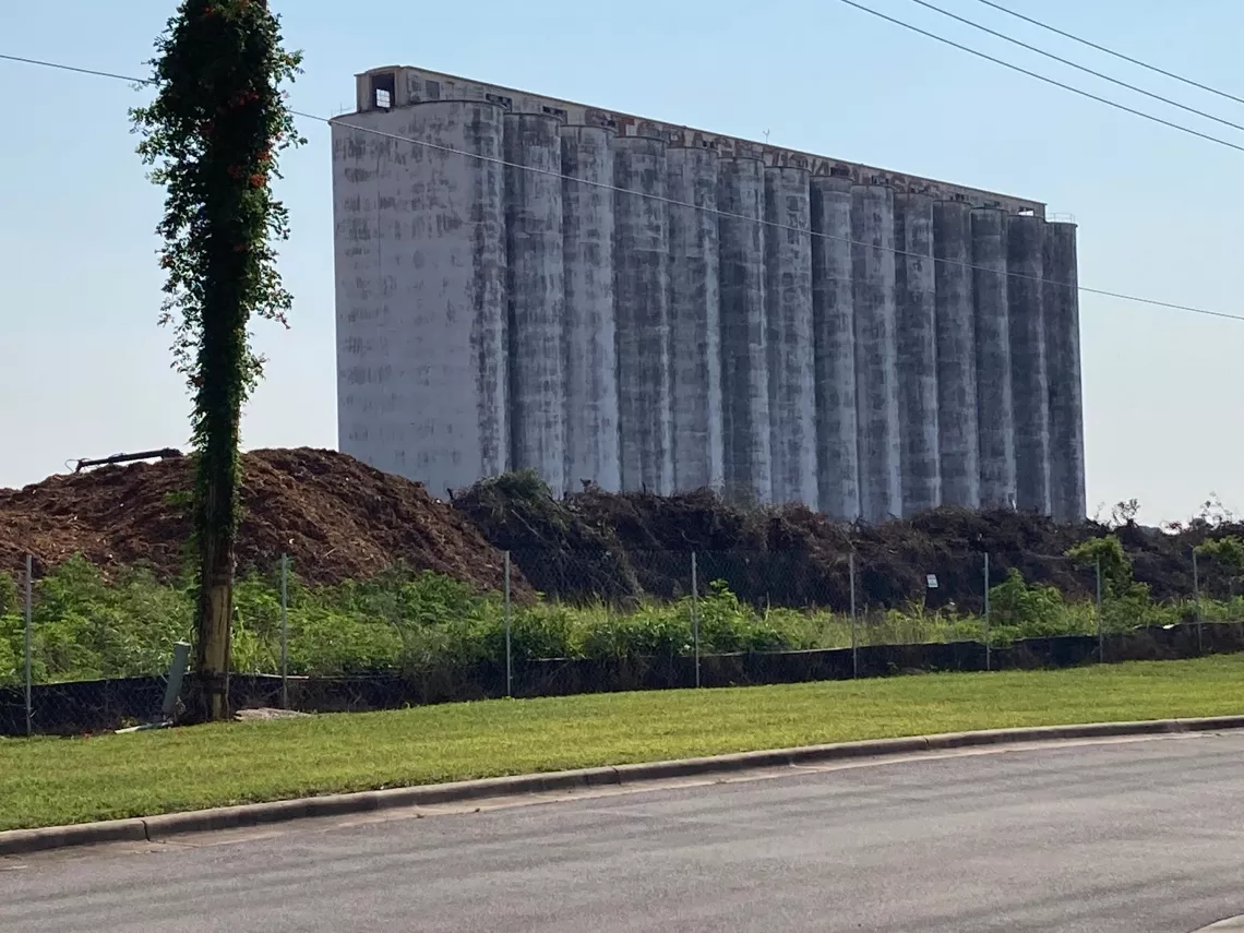 Trees piled up at temporary location